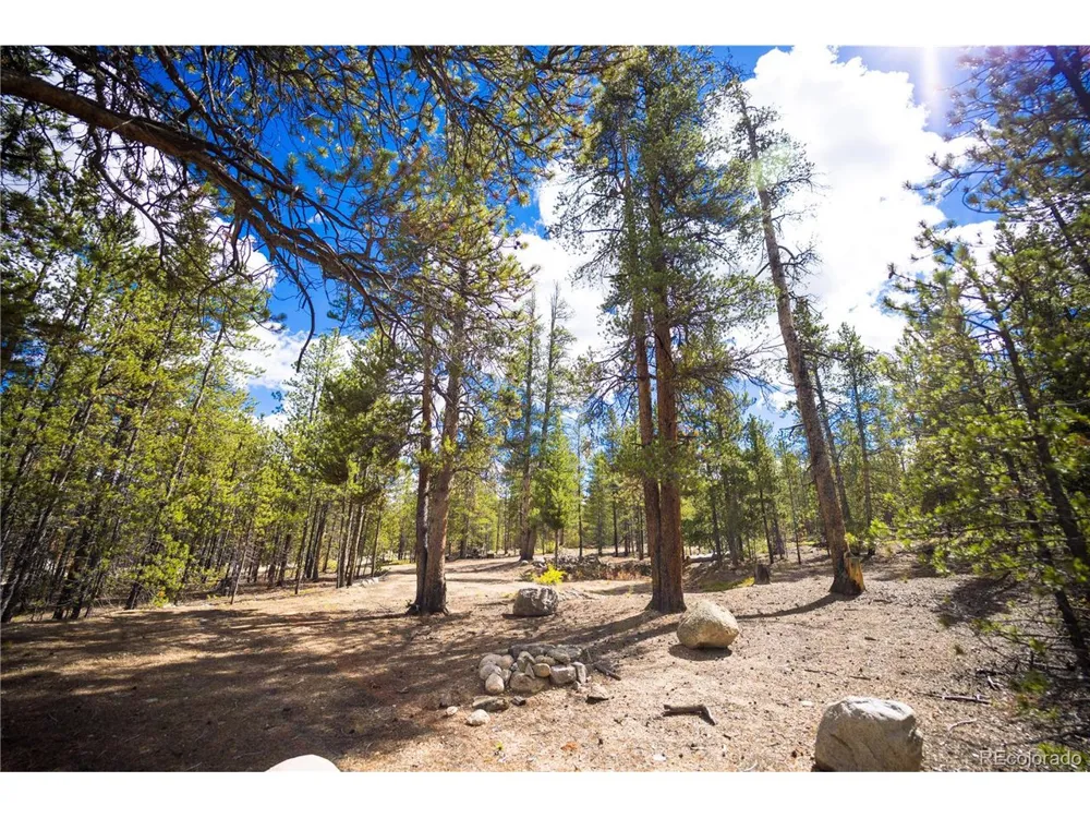 247 Juniper Drive Twin Lakes, CO 80461