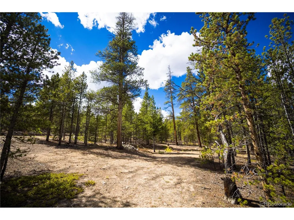 247 Juniper Drive Twin Lakes, CO 80461