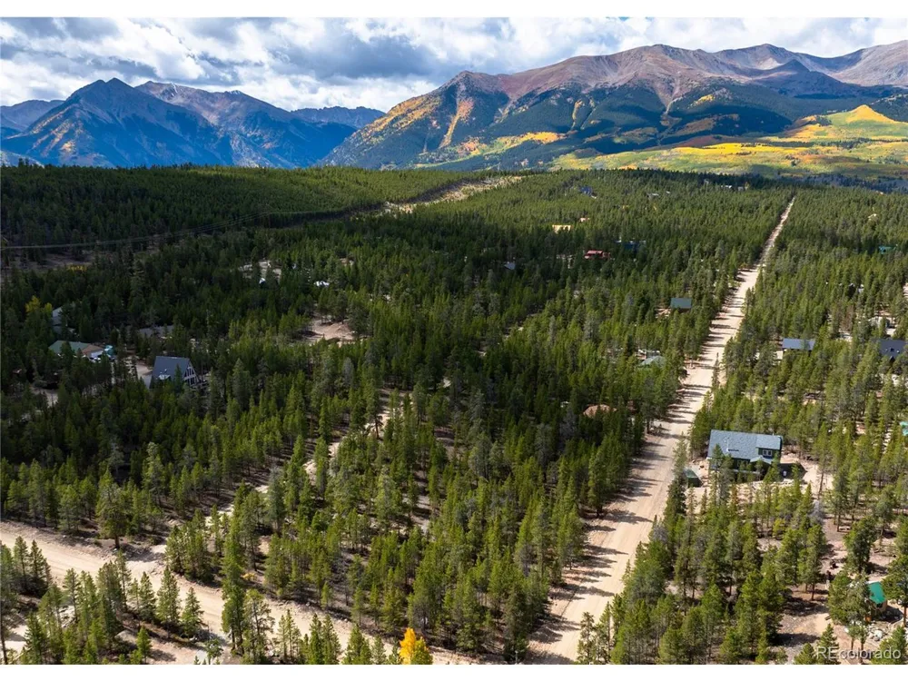 247 Juniper Drive Twin Lakes, CO 80461
