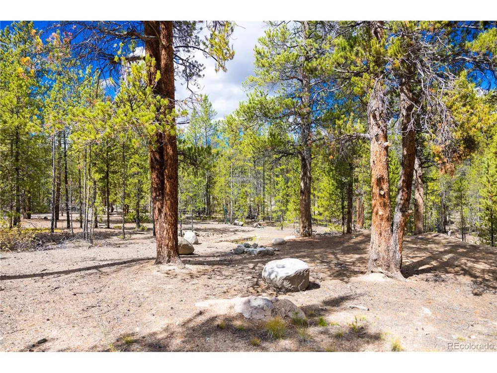 247 Juniper Drive Twin Lakes, CO 80461