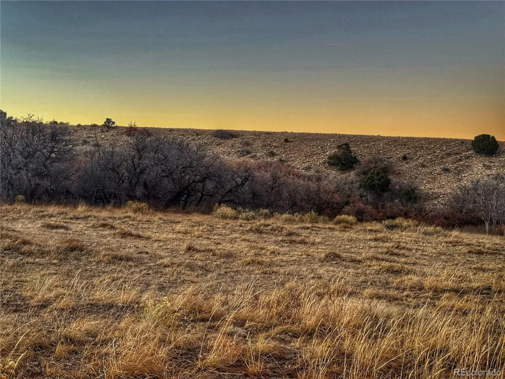 168 Colorado Land and Grazing Gardner, CO 81040