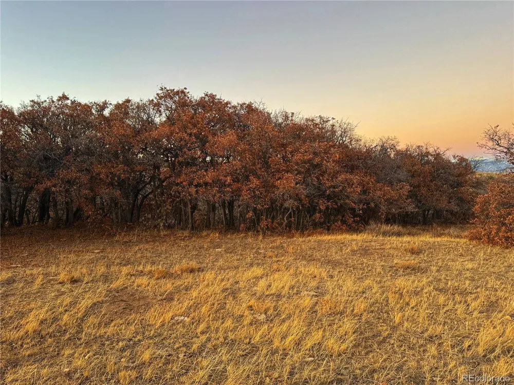 168 Colorado Land and Grazing Gardner, CO 81040