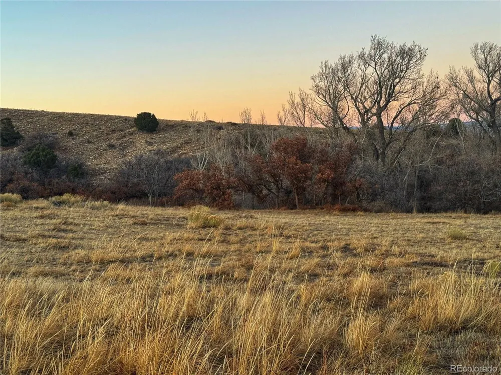 168 Colorado Land and Grazing Gardner, CO 81040