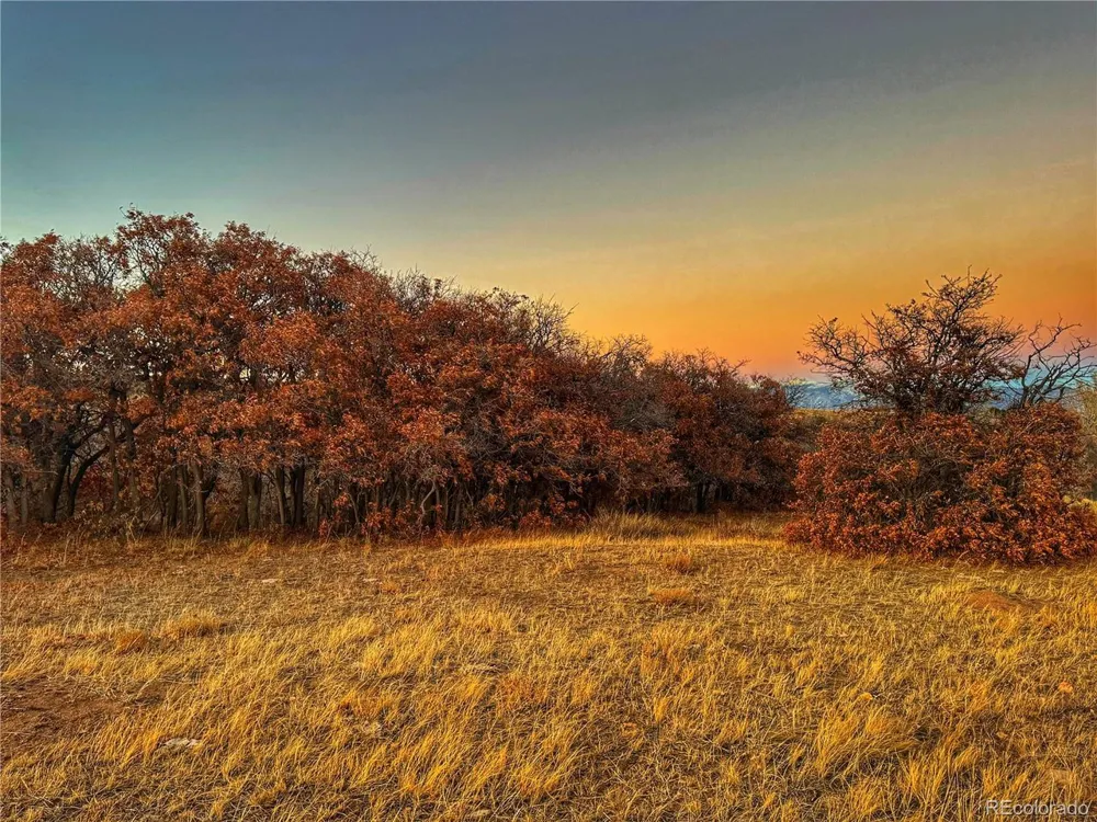 168 Colorado Land and Grazing Gardner, CO 81040