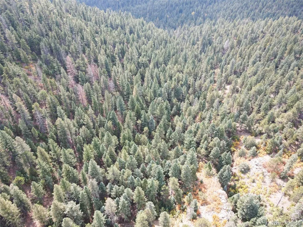 4950 Little Turkey Creek Road Colorado Springs, CO 80926