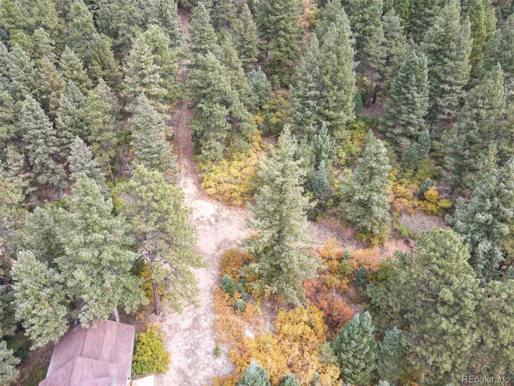 4950 Little Turkey Creek Road Colorado Springs, CO 80926