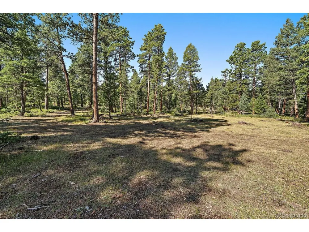 0 Evergreen Drive Conifer, CO 80433