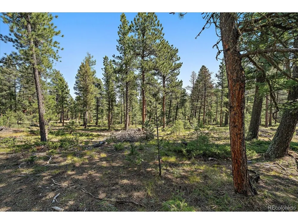 0 Evergreen Drive Conifer, CO 80433