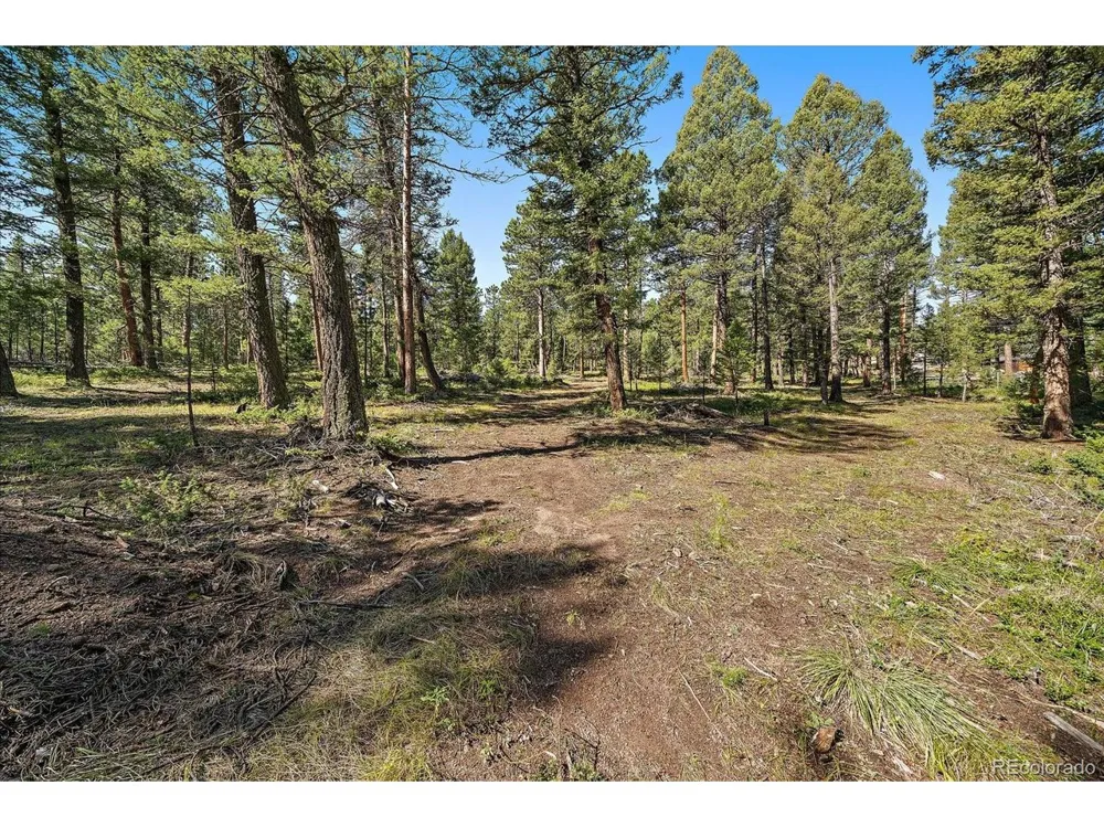 0 Evergreen Drive Conifer, CO 80433