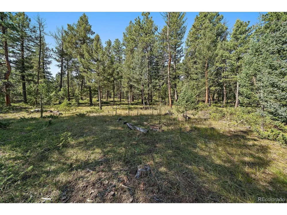 0 Evergreen Drive Conifer, CO 80433