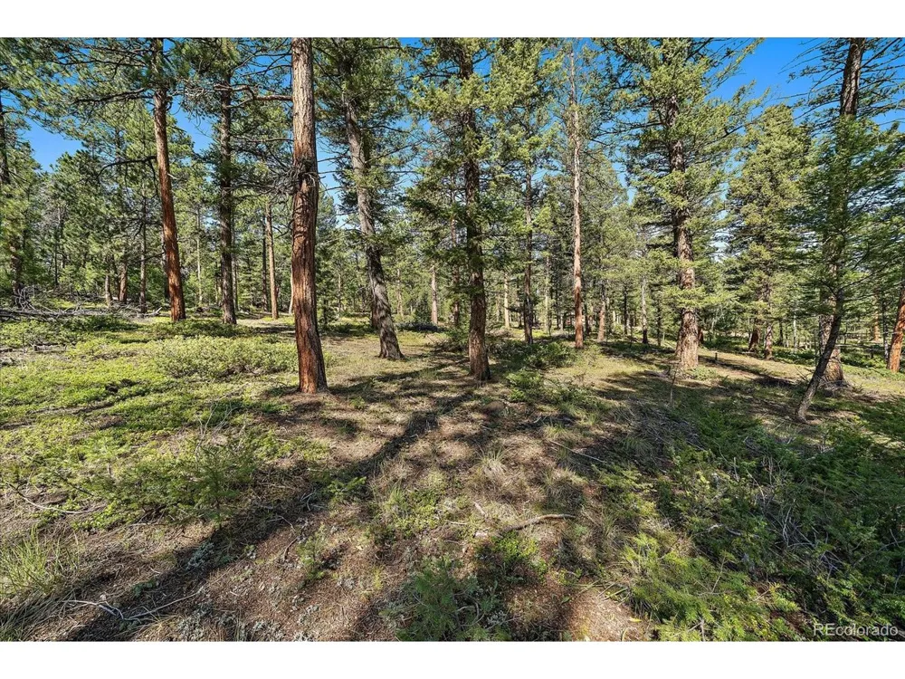 0 Evergreen Drive Conifer, CO 80433