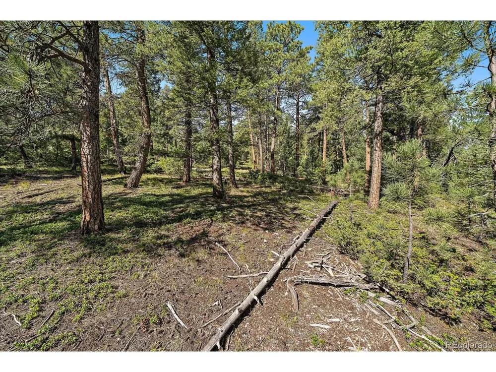 0 Evergreen Drive Conifer, CO 80433