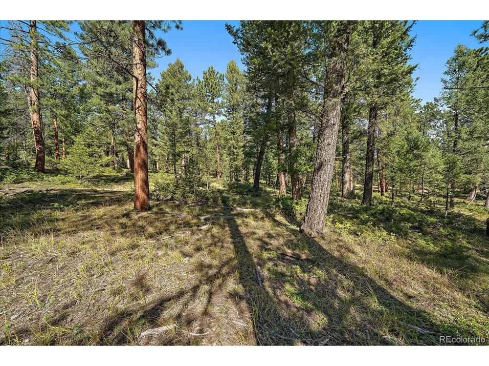 0 Evergreen Drive Conifer, CO 80433