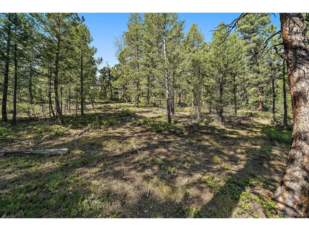 0 Evergreen Drive Conifer, CO 80433