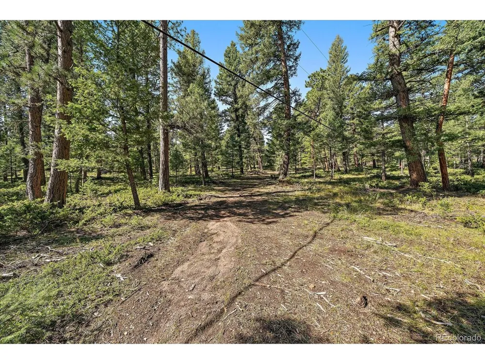 0 Evergreen Drive Conifer, CO 80433
