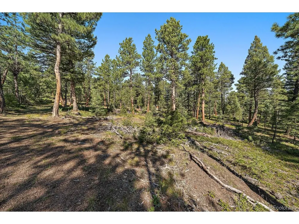 0 Evergreen Drive Conifer, CO 80433