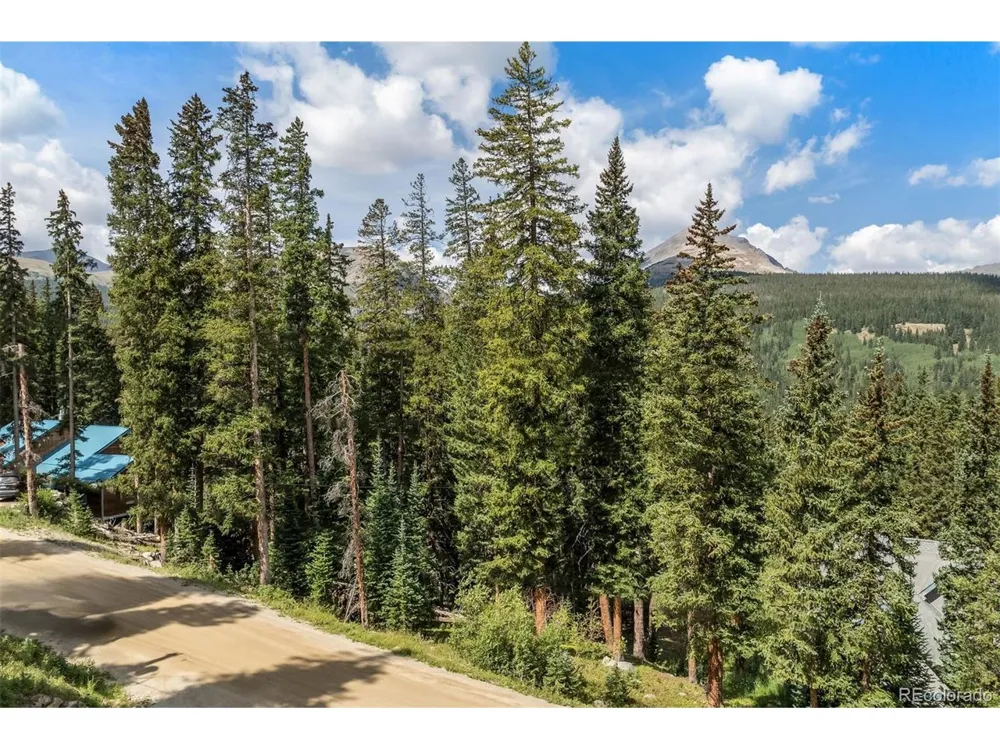 712 Doris Drive Breckenridge, CO 80424