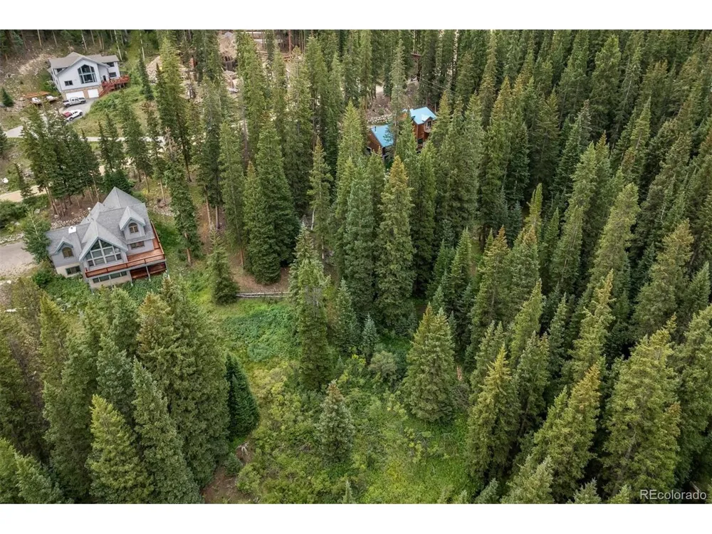 712 Doris Drive Breckenridge, CO 80424