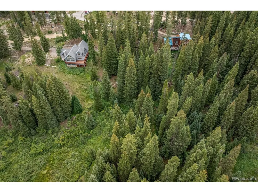 712 Doris Drive Breckenridge, CO 80424