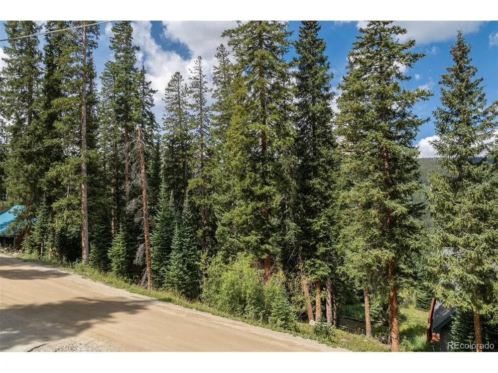 712 Doris Drive Breckenridge, CO 80424