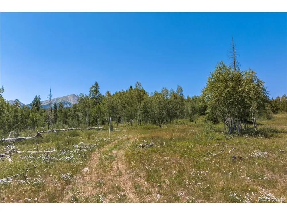 0 Whetstone Drive #5 Silverthorne, CO 80498