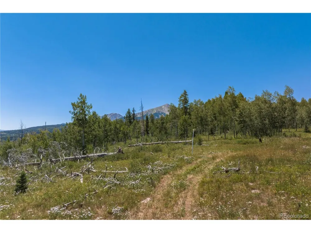0 Whetstone Drive #5 Silverthorne, CO 80498