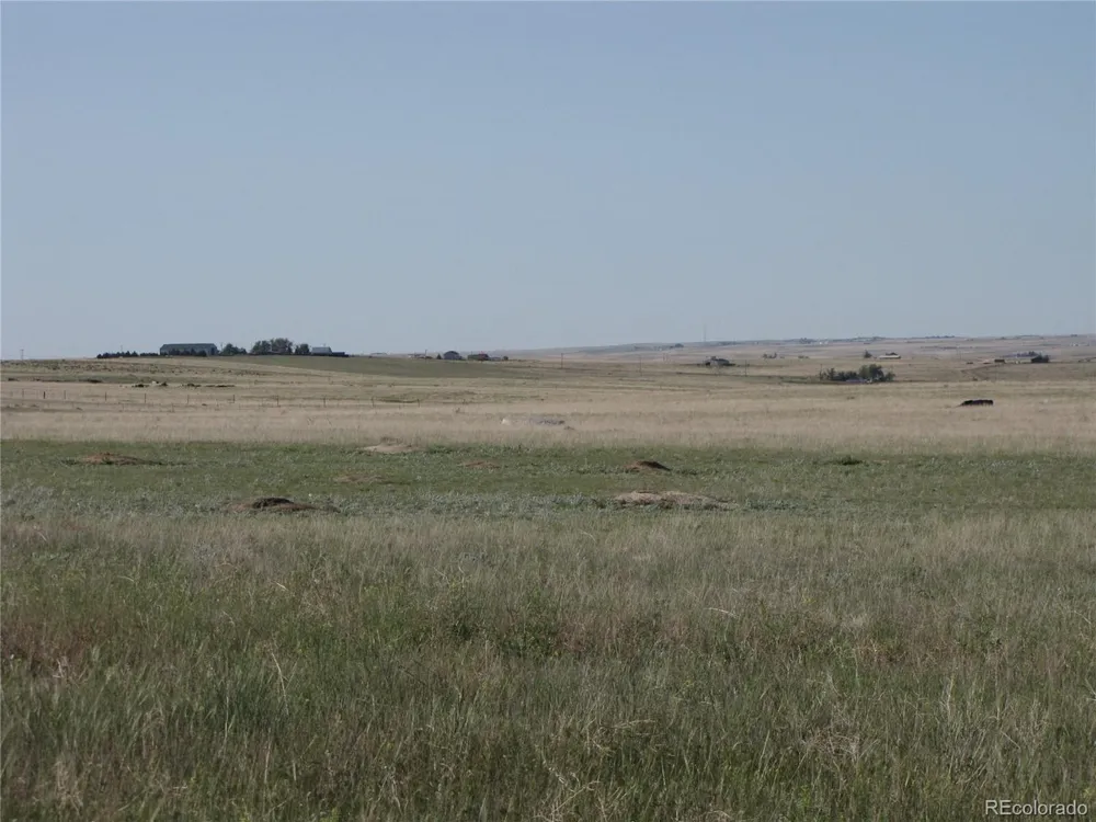 31755 Vorenberg Road Calhan, CO 80808