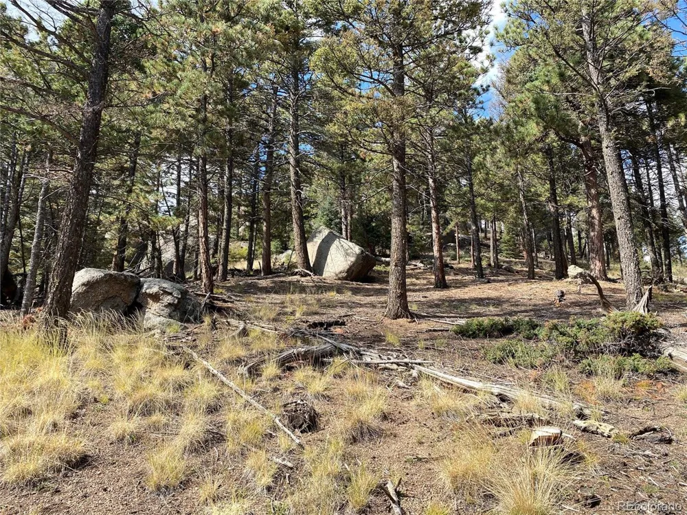 342 Ponderosa View Manitou Springs, CO 80829