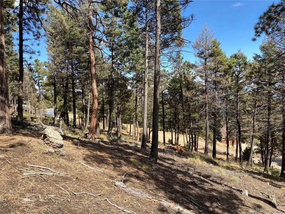 342 Ponderosa View Manitou Springs, CO 80829