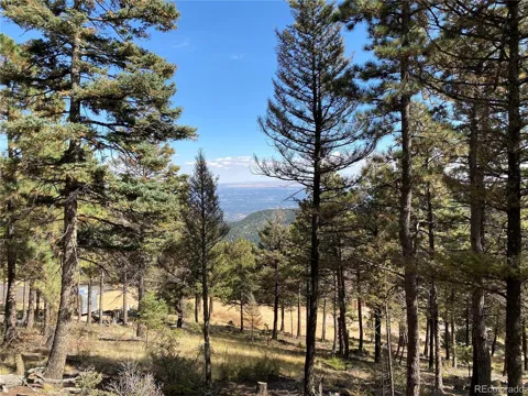 342 Ponderosa View