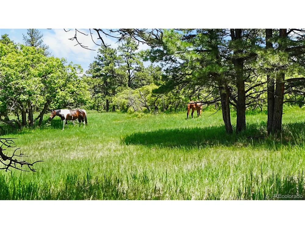8221 Cuerna Verde Road Rye, CO 81069