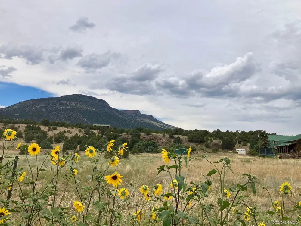 100 Mica Road South Fork, CO 81154