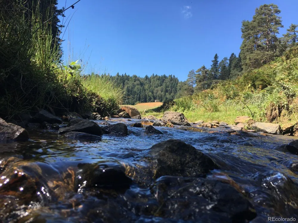 100 Mica Road South Fork, CO 81154