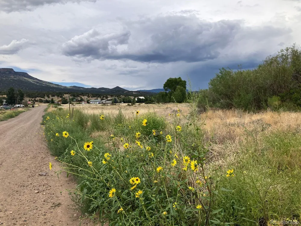 100 Mica Road South Fork, CO 81154