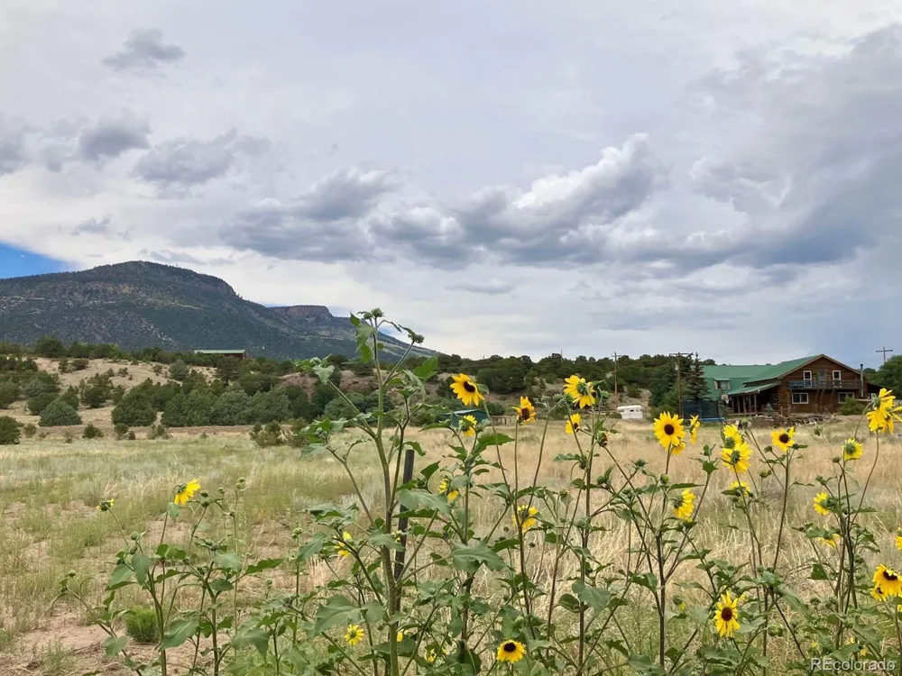 100 Mica Road South Fork, CO 81154