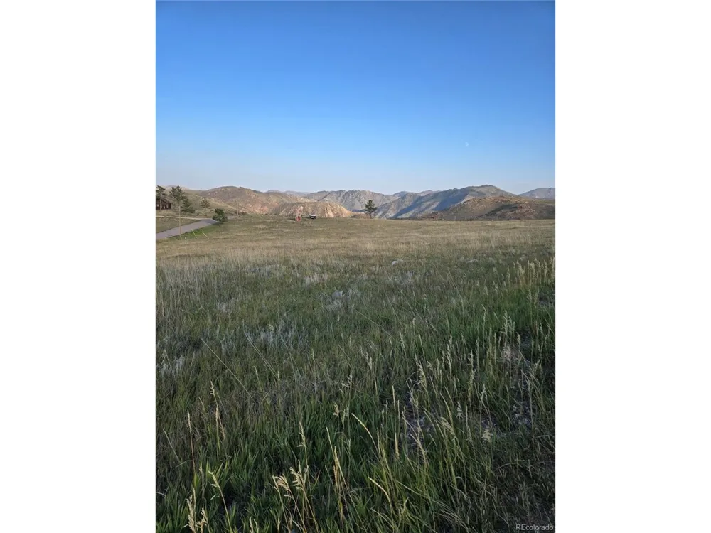 443 Meadow Mountain Drive Livermore, CO 80536