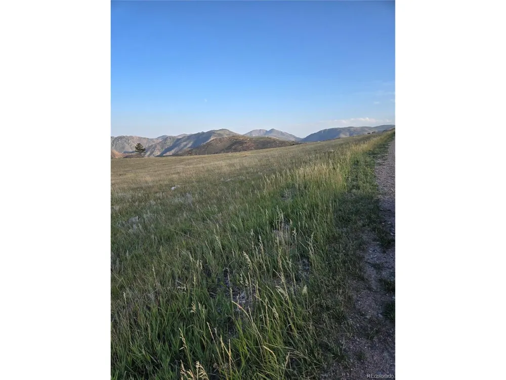 443 Meadow Mountain Drive Livermore, CO 80536