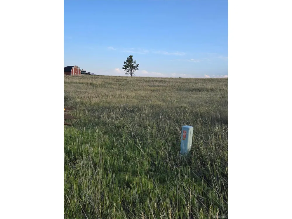 443 Meadow Mountain Drive Livermore, CO 80536