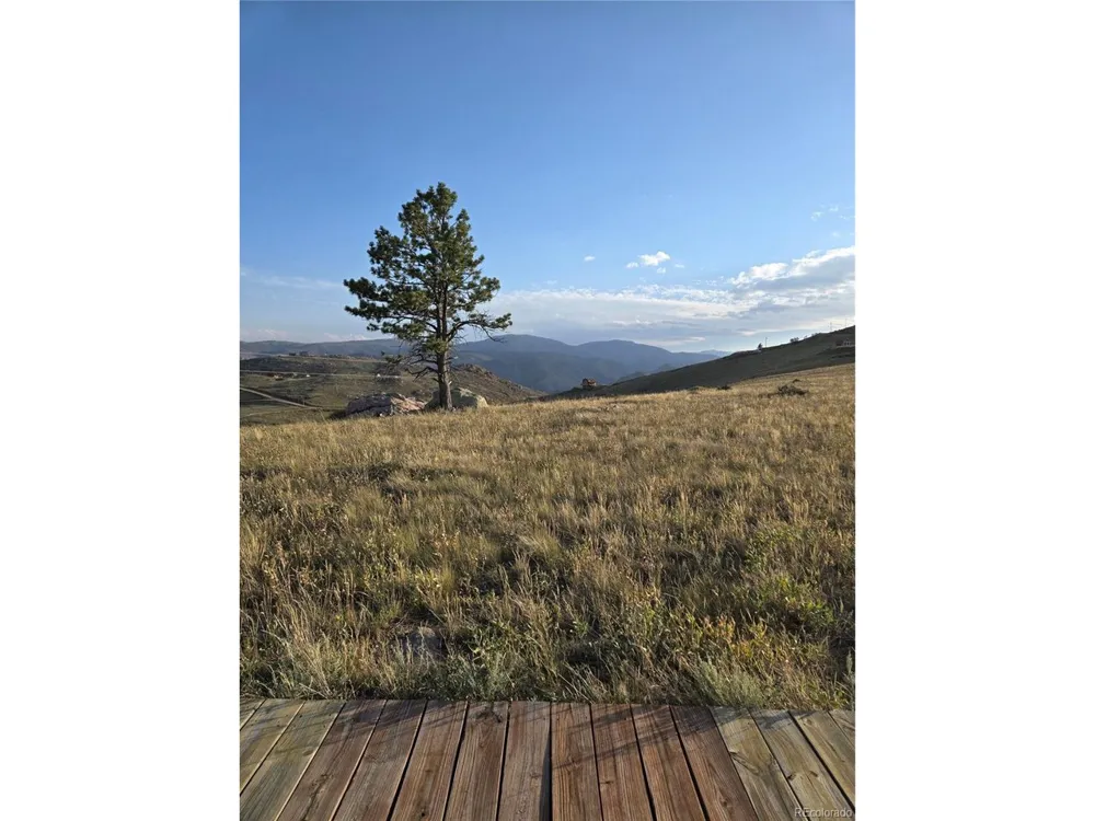 443 Meadow Mountain Drive Livermore, CO 80536