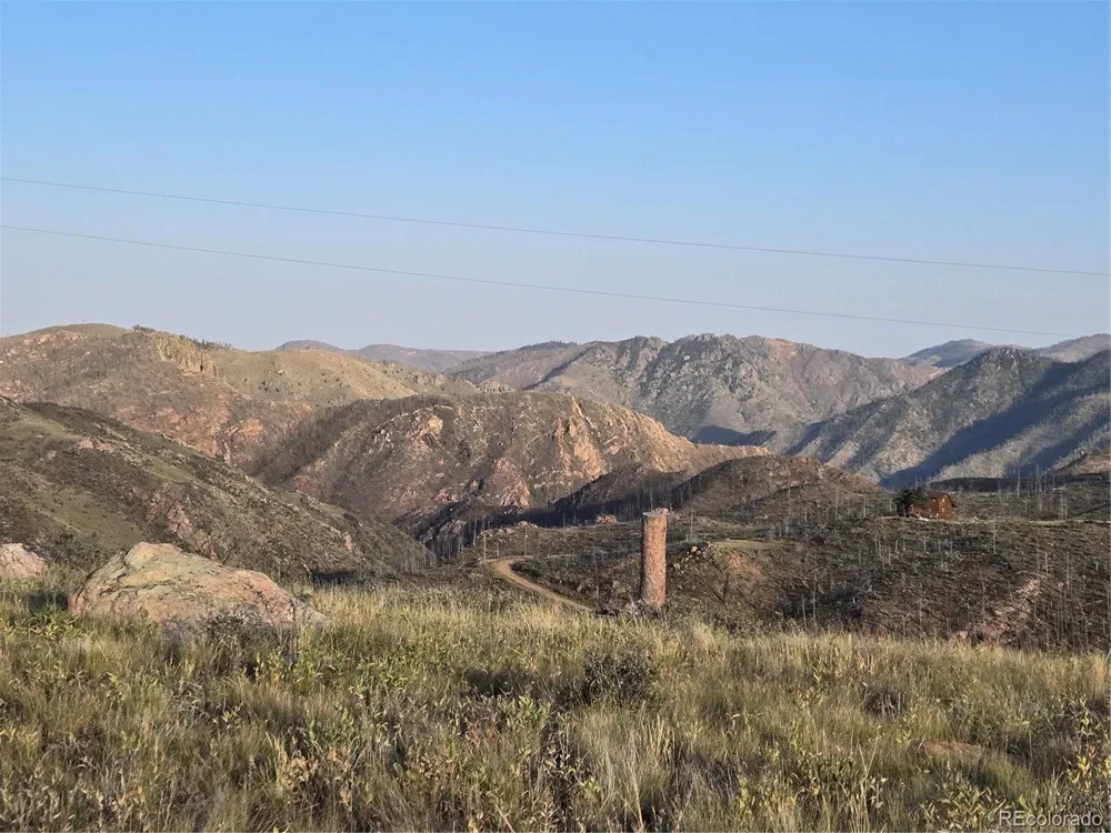 443 Meadow Mountain Drive Livermore, CO 80536