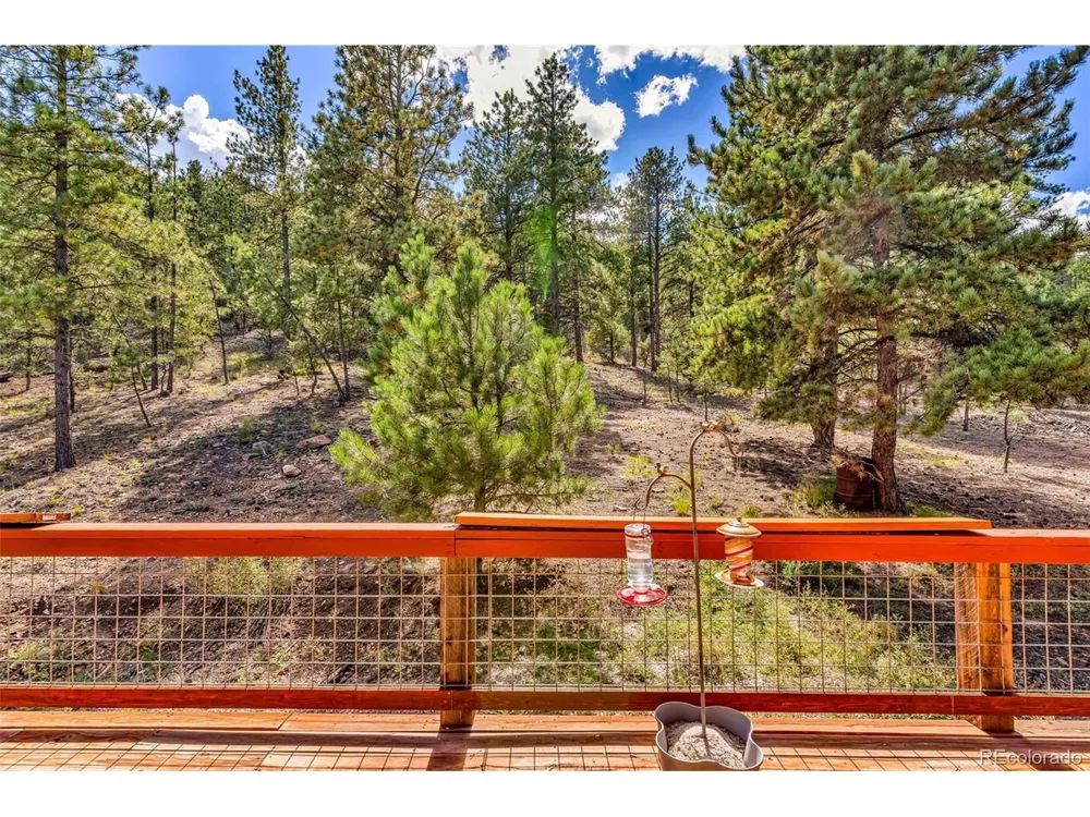 860 Texas Creek Lane Cotopaxi, CO 81223