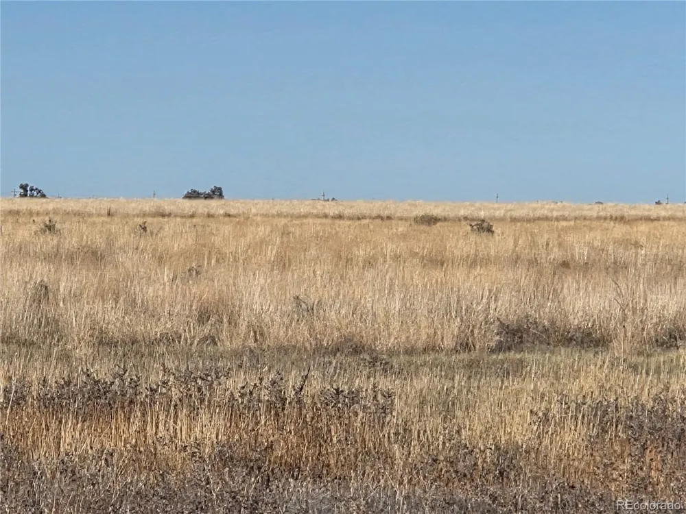 Address Not Shown Avondale, CO 81022