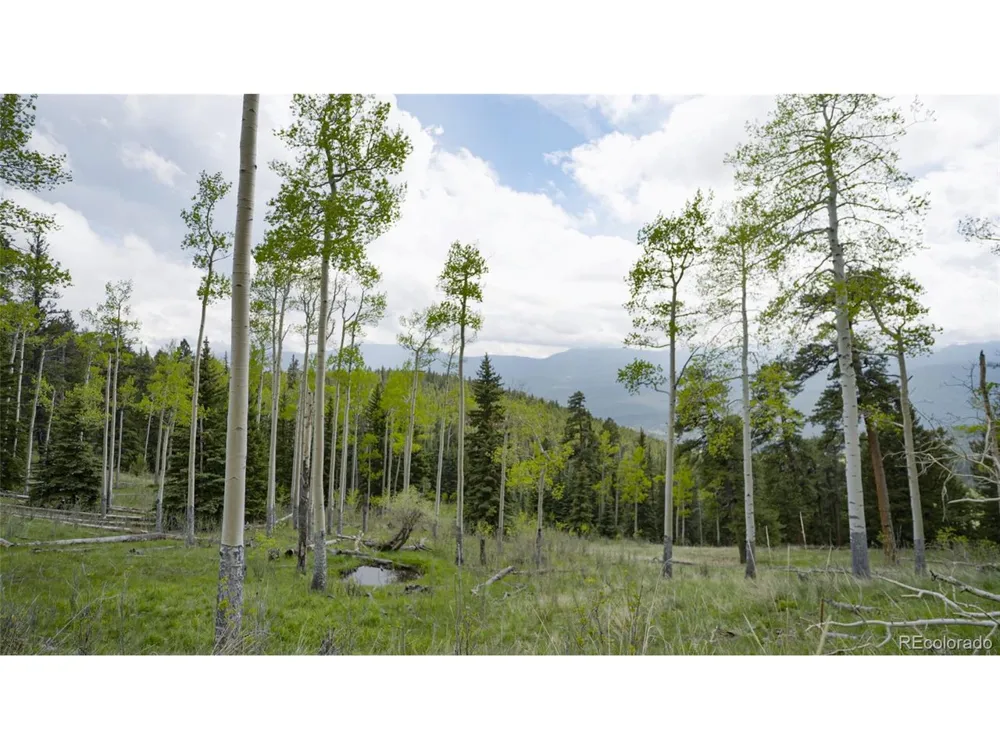 Address Not Shown Evergreen, CO 80439