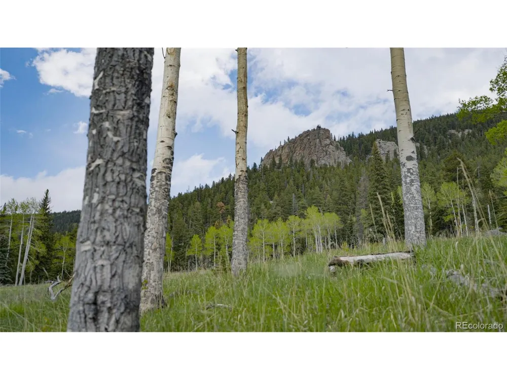 Address Not Shown Evergreen, CO 80439