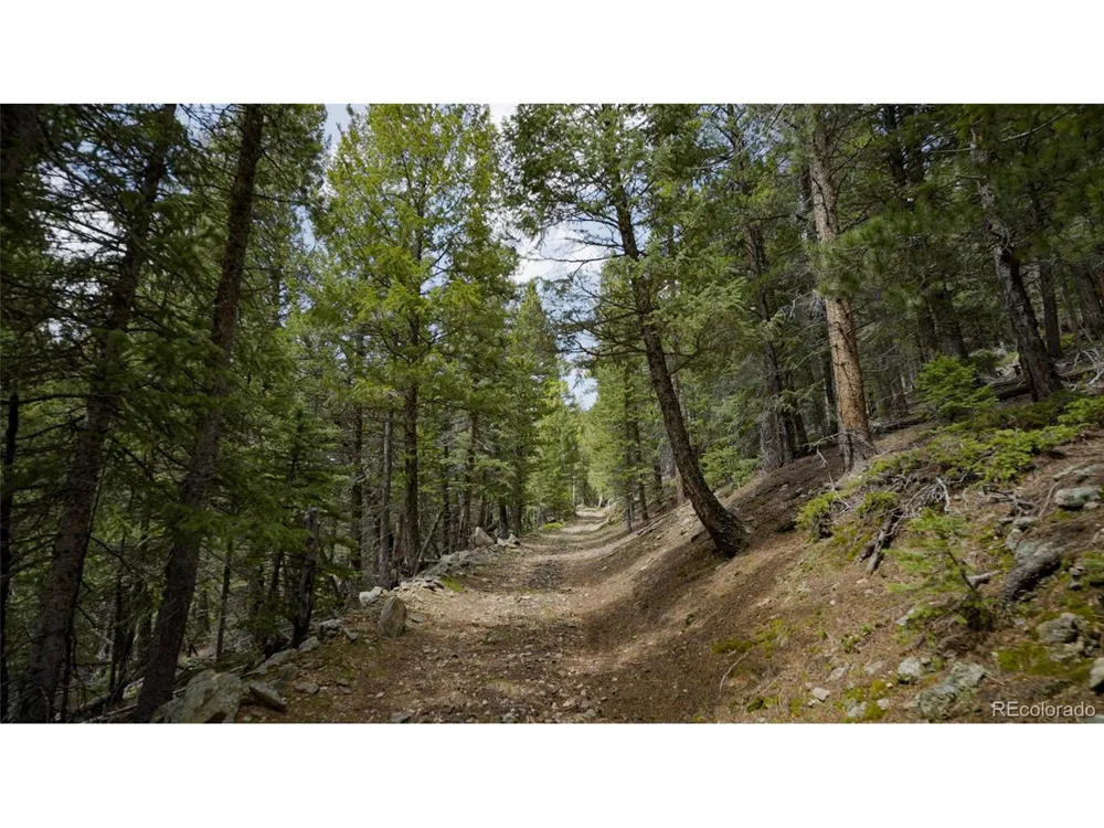Address Not Shown Evergreen, CO 80439