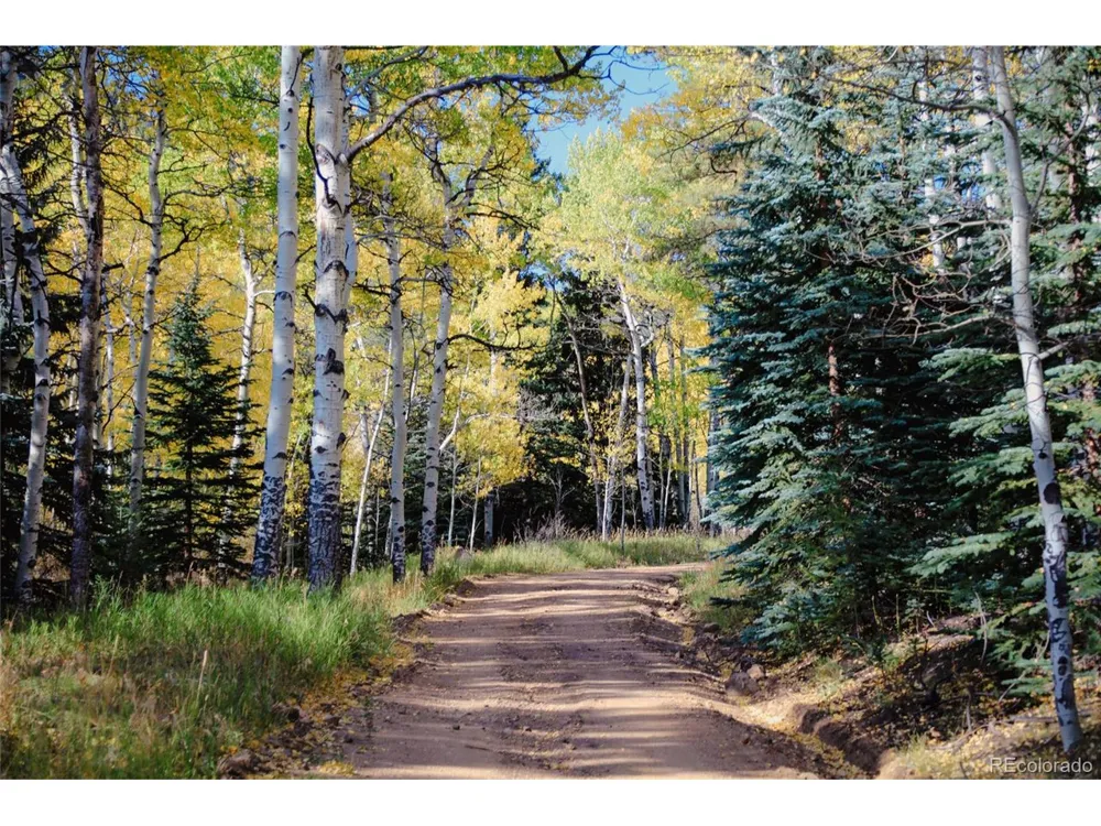 Address Not Shown Evergreen, CO 80439