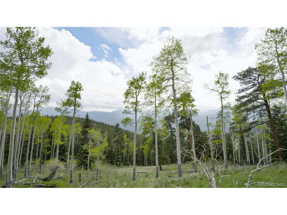 Address Not Shown Evergreen, CO 80439