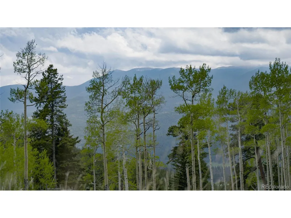 Address Not Shown Evergreen, CO 80439