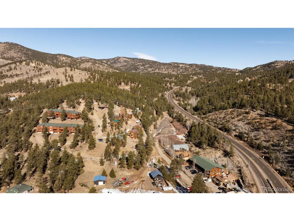 206 Virginia Road Bailey, CO 80421