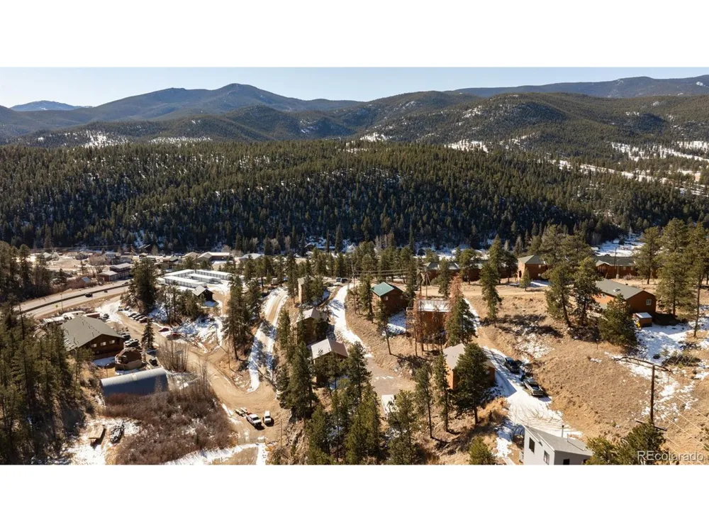206 Virginia Road Bailey, CO 80421